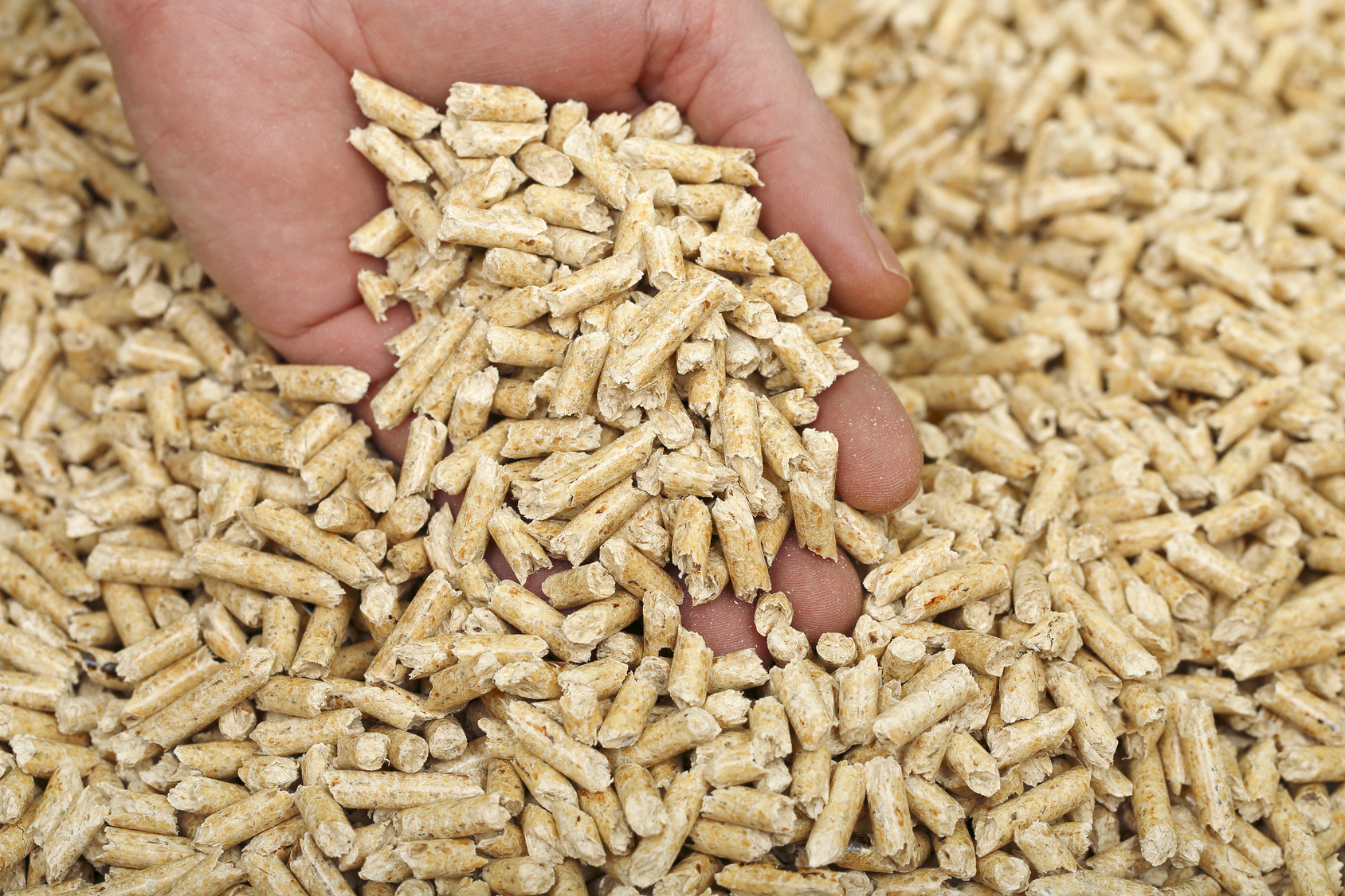 pellets Holzpellets, lose, pro Tonne - Bild 1